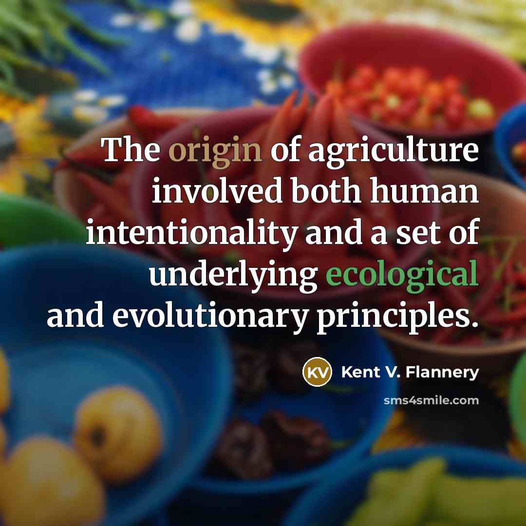 “The origin of agriculture involved both human intentionality and a…” quote by Kent V. Flannery