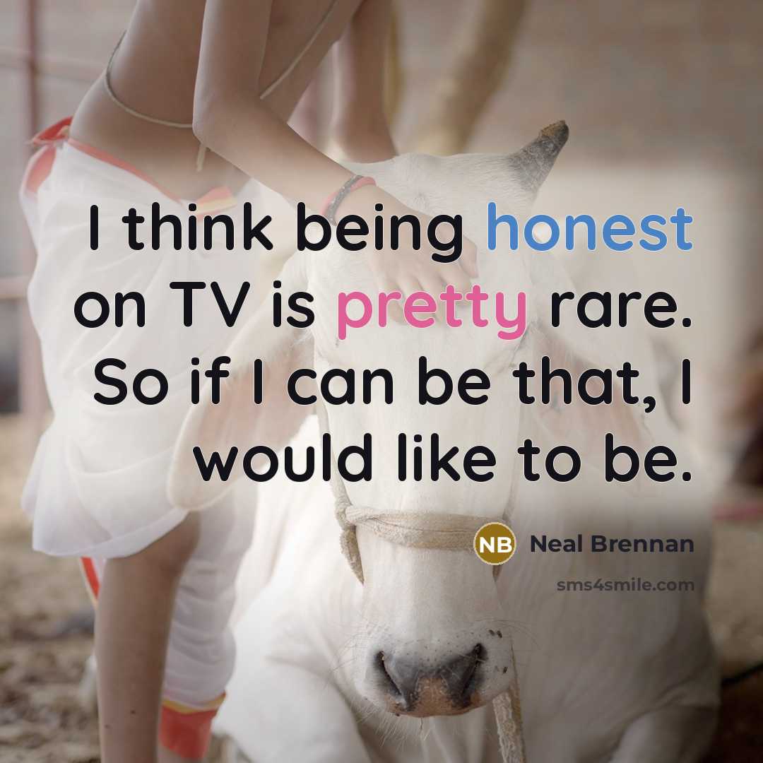 “I think being honest on TV is pretty rare. So…” quote by Neal Brennan