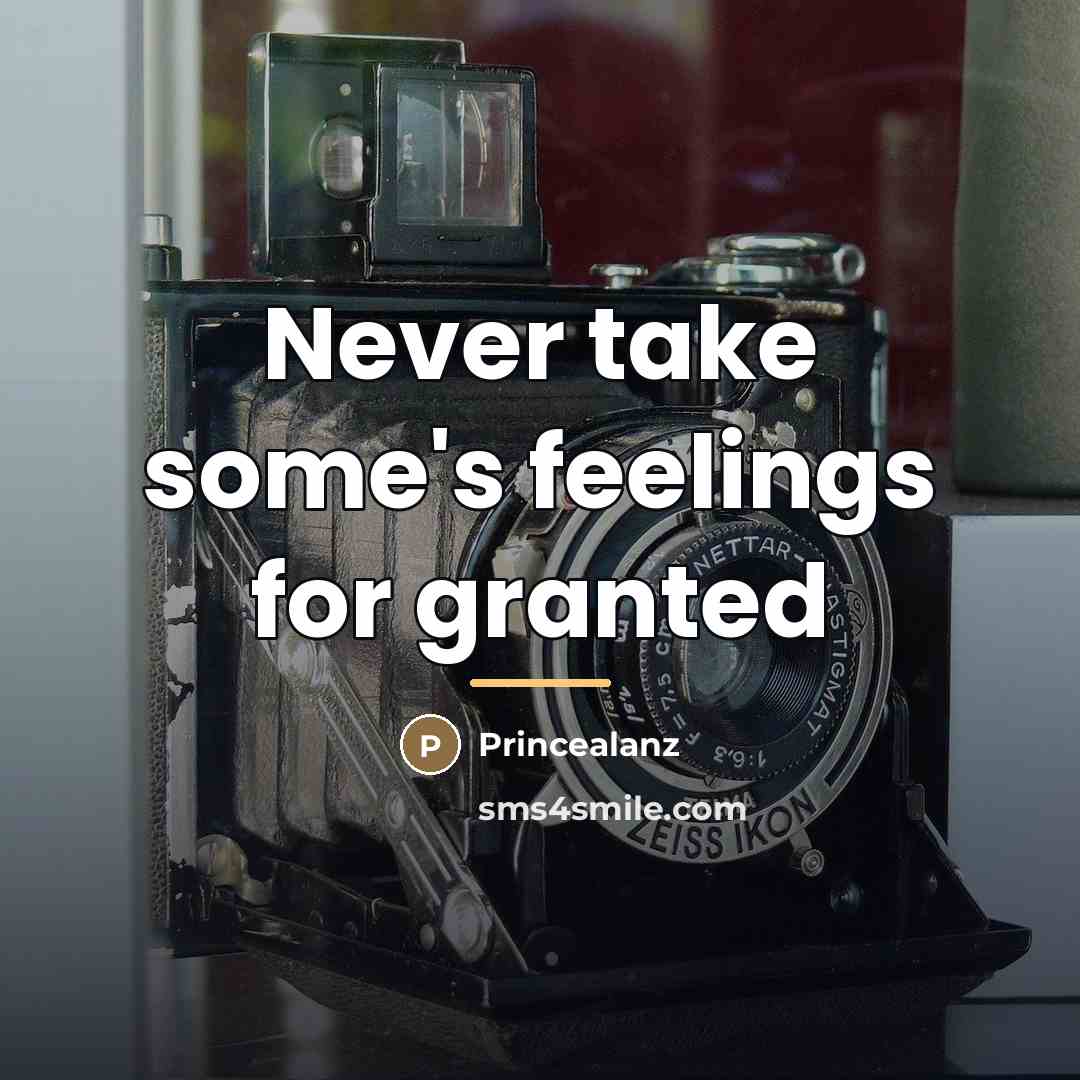 “Never take some's feelings for granted…” quote by Princealanz