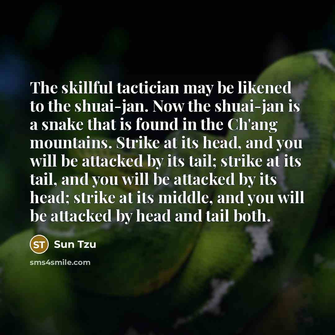 “The skillful tactician may be likened to the shuai-jan. Now…” quote by Sun Tzu