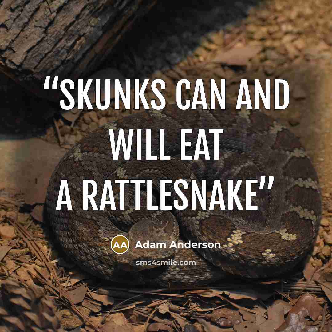 “Skunks can and will eat a rattlesnake” quote by Adam Anderson
