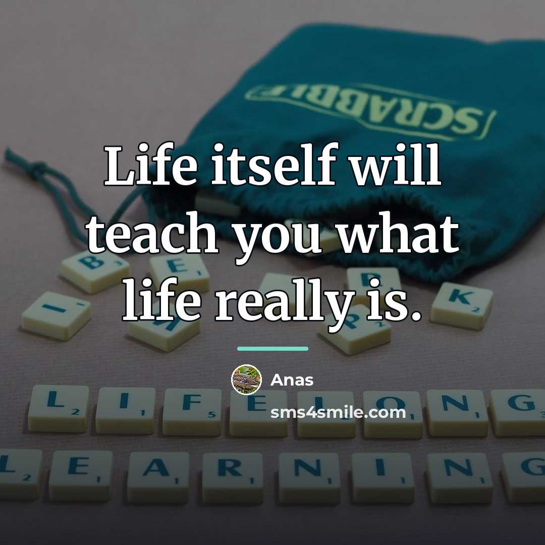 “Life itself will teach you what life really is.…” quote by Anas