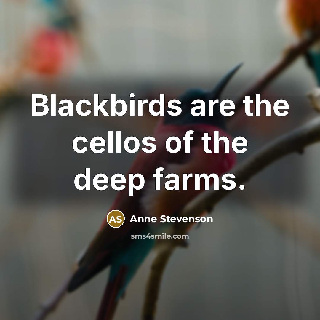 “Blackbirds are the cellos of the deep farms.…” quote by Anne Stevenson