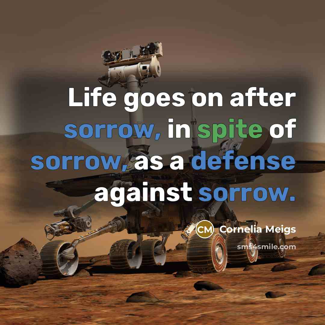 “Life goes on after sorrow, in spite of sorrow, as…” quote by Cornelia Meigs