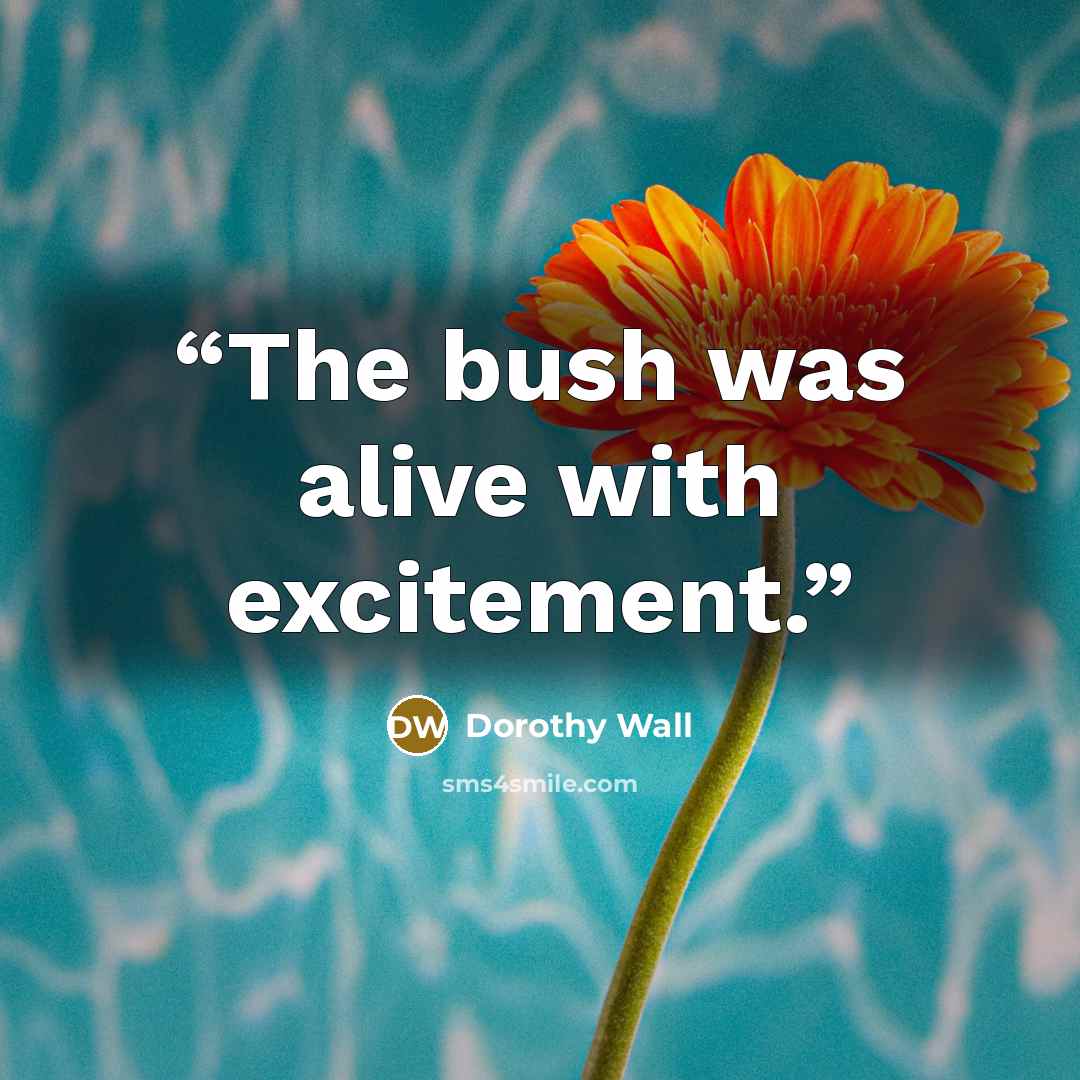 “The bush was alive with excitement.” quote by Dorothy Wall