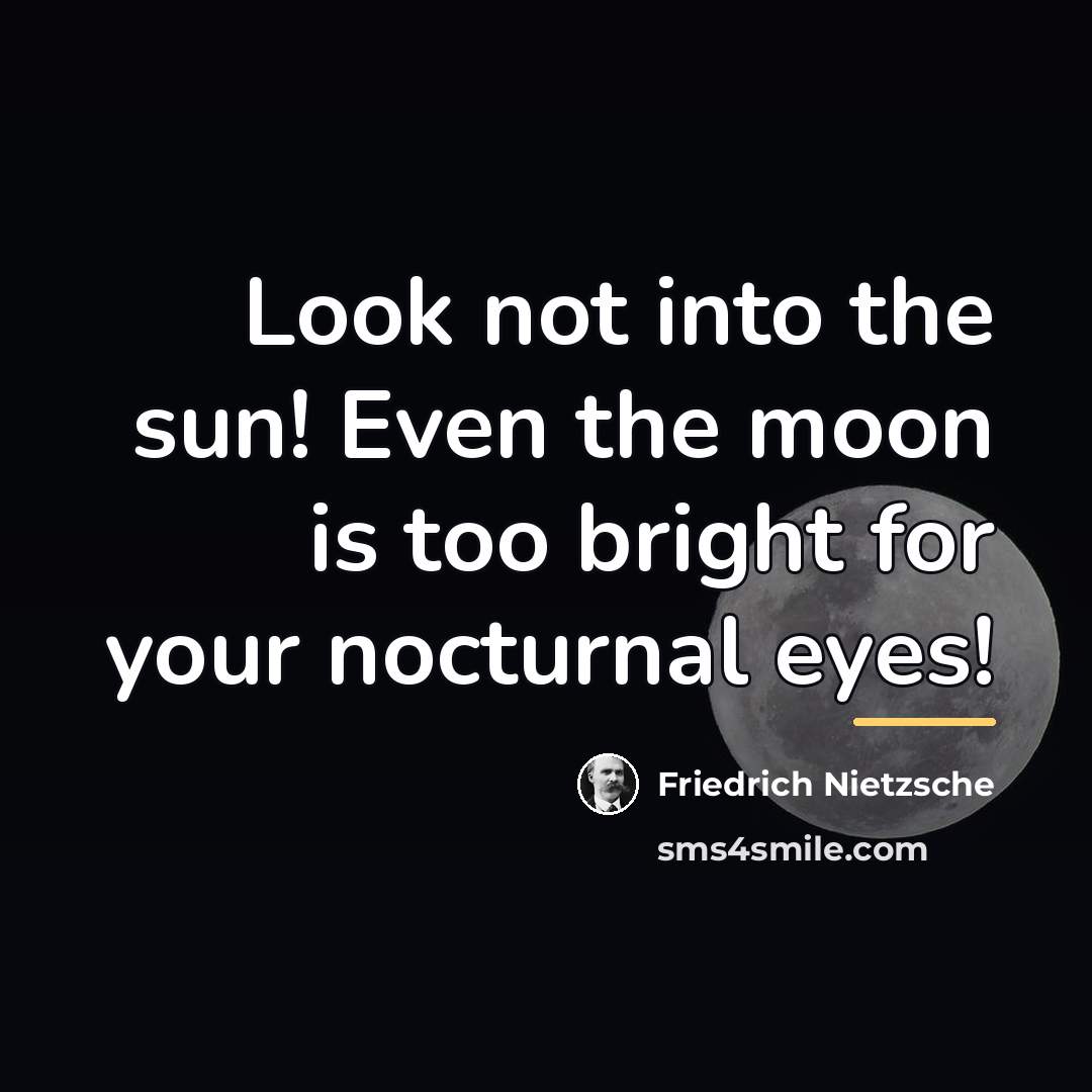 “Look not into the sun! Even the moon is too…” quote by Friedrich Nietzsche