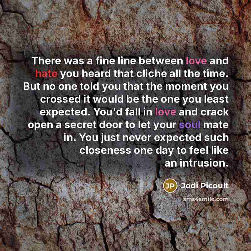 “There was a fine line between love and hate you…” quote by Jodi Picoult