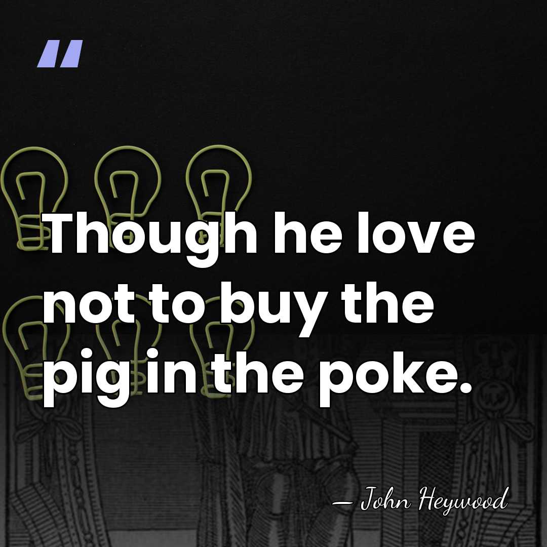 Though he love not to buy the pig in the poke. - John Heywood