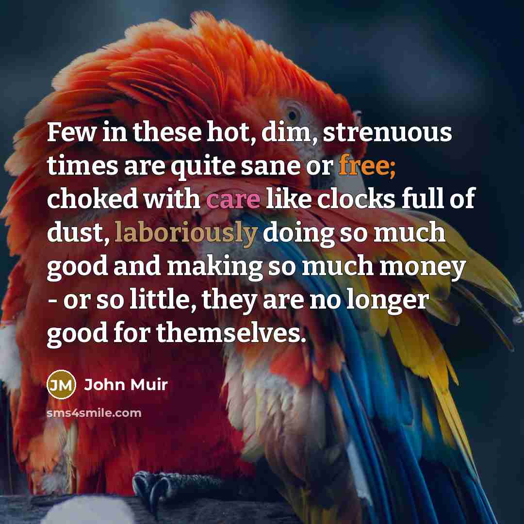 “Few in these hot, dim, strenuous times are quite sane…” quote by John Muir