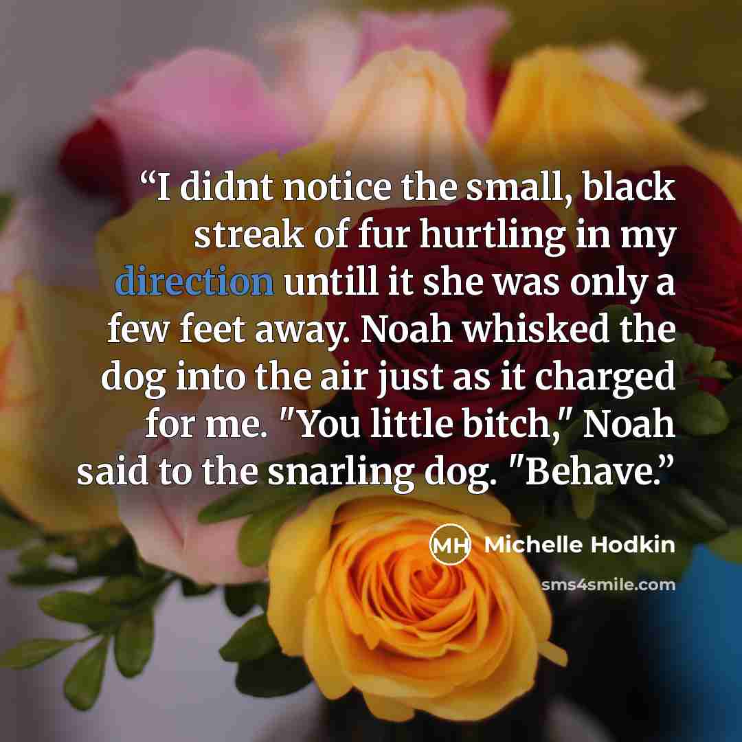 “I didnt notice the small, black streak of fur hurtling in my direction untill it she was only a few feet away. Noah whisked the dog into the air just as it charged for me. "You little bitch," Noah said to the snarling dog. "Behave.” quote by Michelle Hodkin