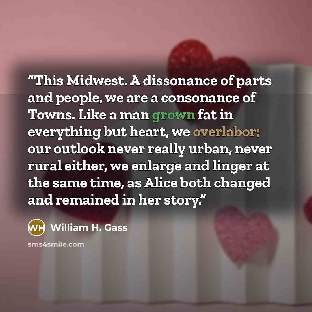 “This Midwest. A dissonance of parts and people, we are a consonance of Towns. Like a man grown fat in everything but heart, we overlabor; our outlook never really urban, never rural either, we enlarge and linger at the same time, as Alice both changed and remained in her story.” quote by William H. Gass