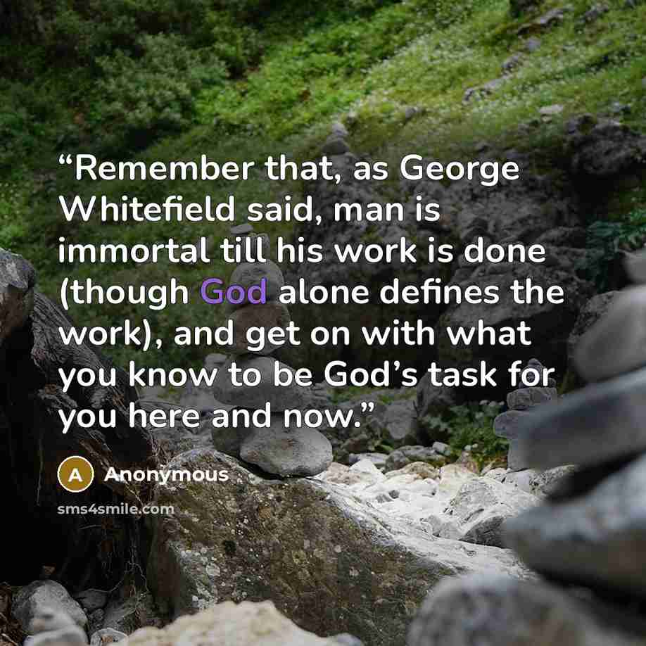 “Remember that, as George Whitefield said, man is immortal till his work is done (though God alone defines the work), and get on with what you know to be God’s task for you here and now.” quote by Anonymous