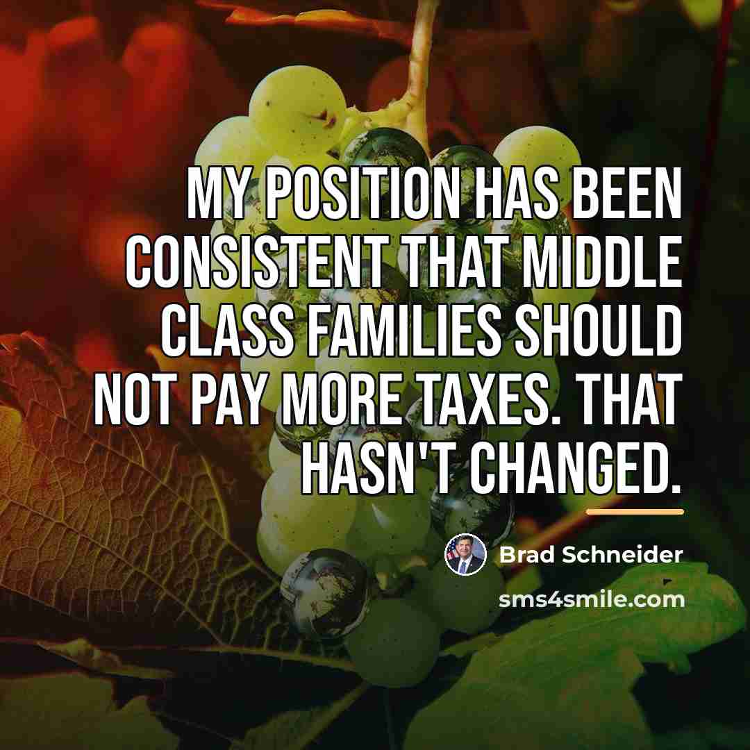 “My position has been consistent that middle class families should…” quote by Brad Schneider