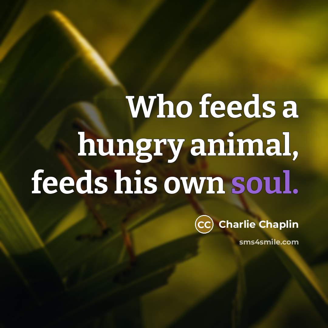 “Who feeds a hungry animal, feeds his own soul.…” quote by Charlie Chaplin