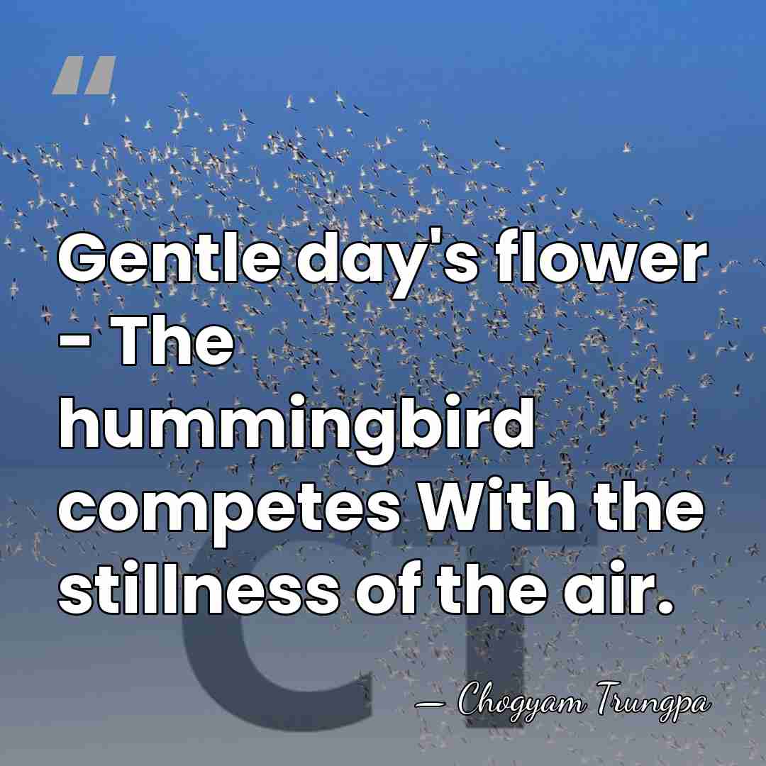 Gentle day's flower - The hummingbird competes With the stillness of the&hellip; - Chogyam Trungpa