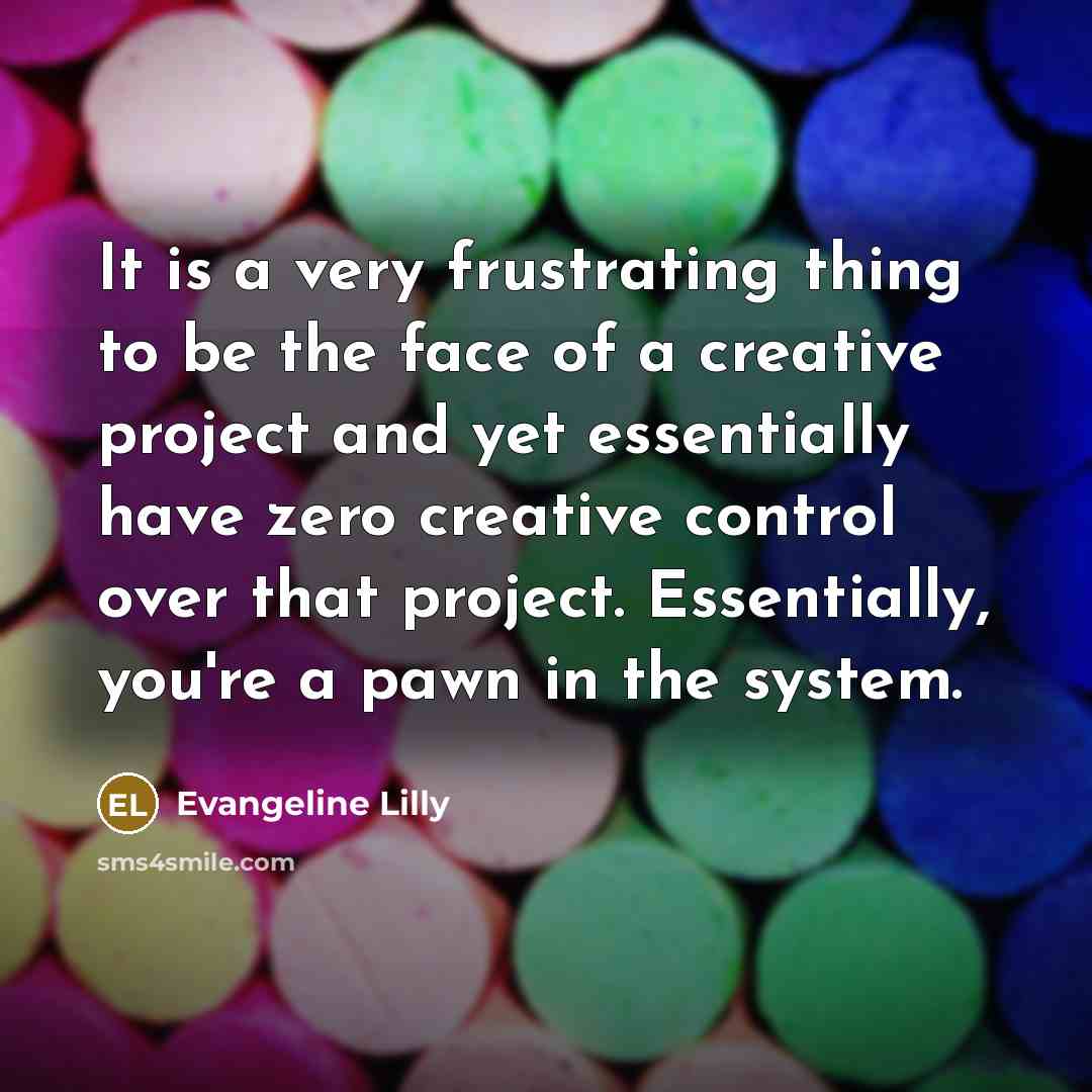“It is a very frustrating thing to be the face…” quote by Evangeline Lilly