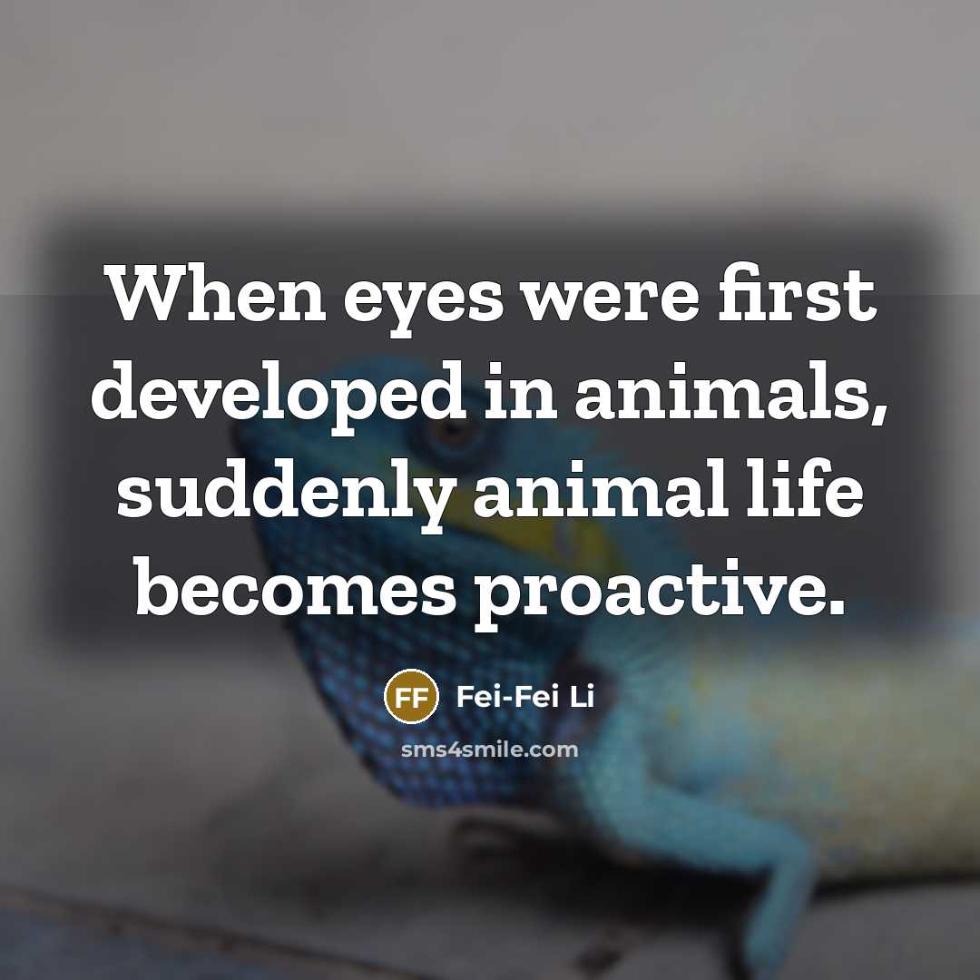 “When eyes were first developed in animals, suddenly animal life…” quote by Fei-Fei Li