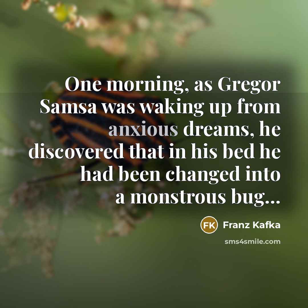 “One morning, as Gregor Samsa was waking up from anxious…” quote by Franz Kafka
