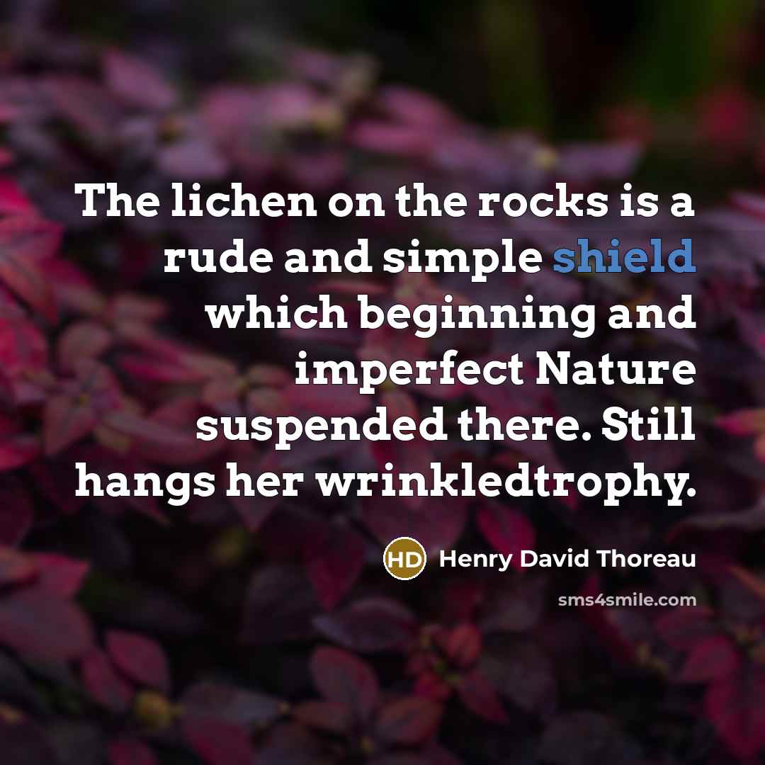 “The lichen on the rocks is a rude and simple…” quote by Henry David Thoreau