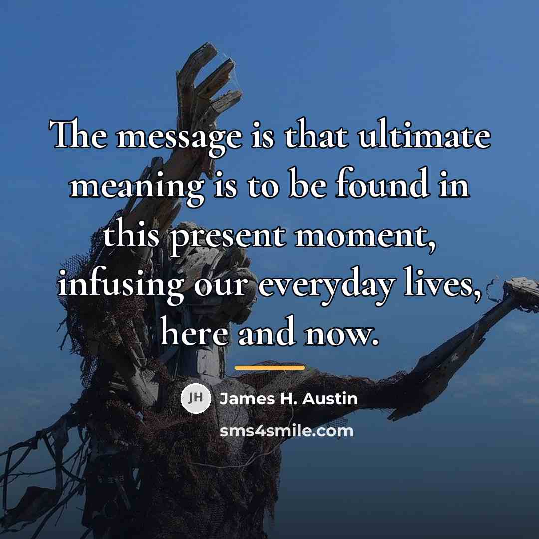 “The message is that ultimate meaning is to be found…” quote by James H. Austin