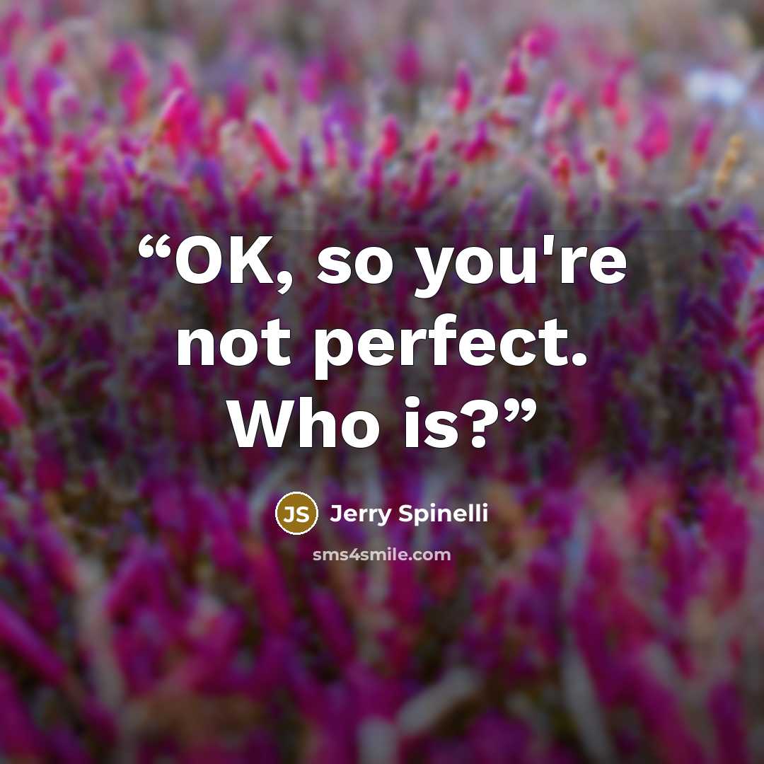 “OK, so you're not perfect. Who is?” quote by Jerry Spinelli