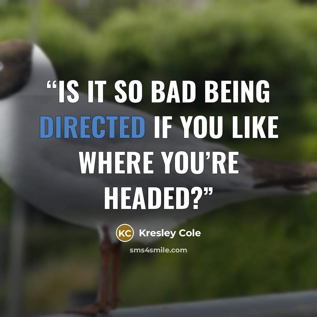 “Is it so bad being directed if you like where you’re headed?” quote by Kresley Cole