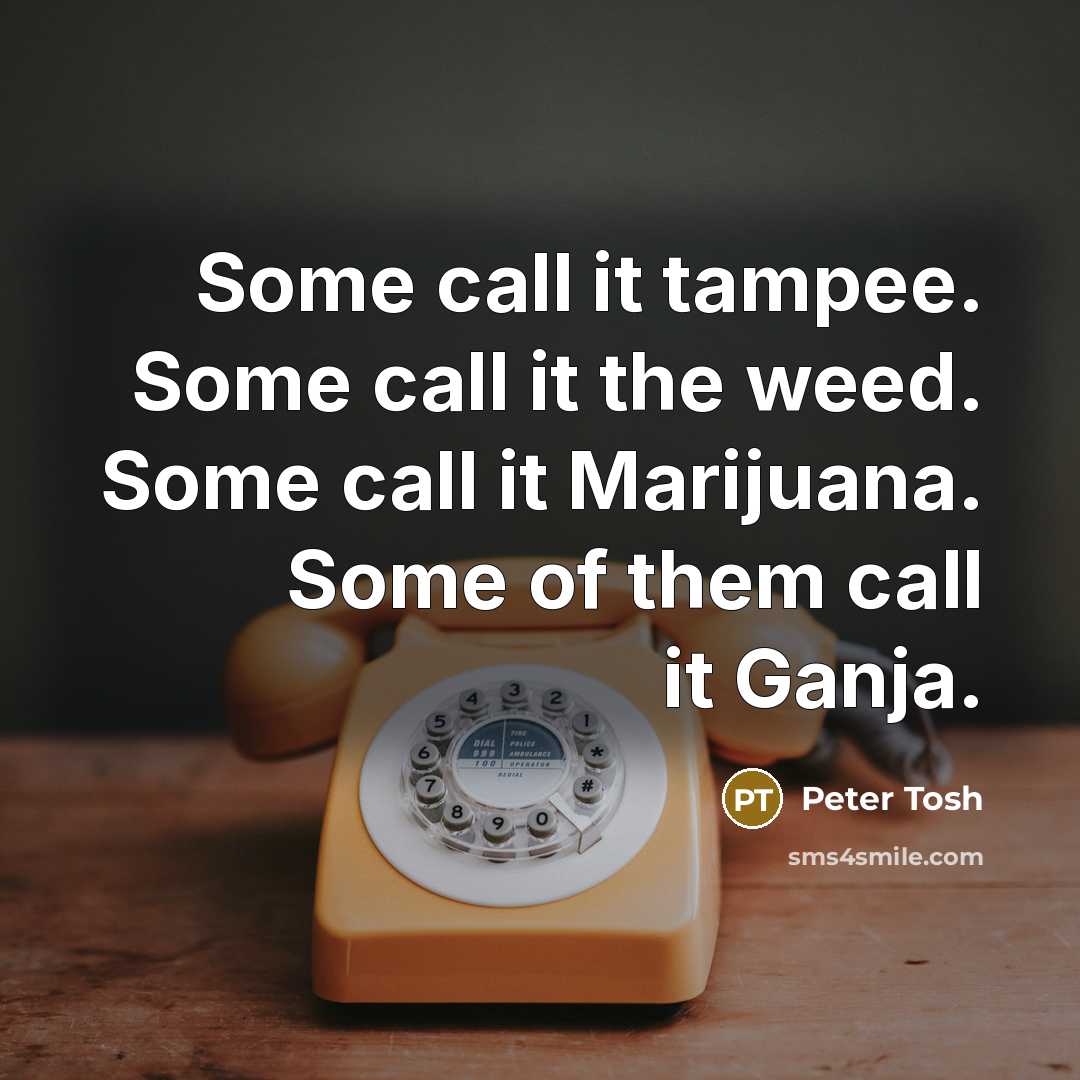 “Some call it tampee. Some call it the weed. Some…” quote by Peter Tosh