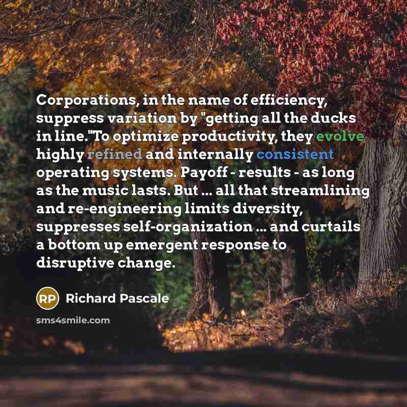 “Corporations, in the name of efficiency, suppress variation by "getting…” quote by Richard Pascale