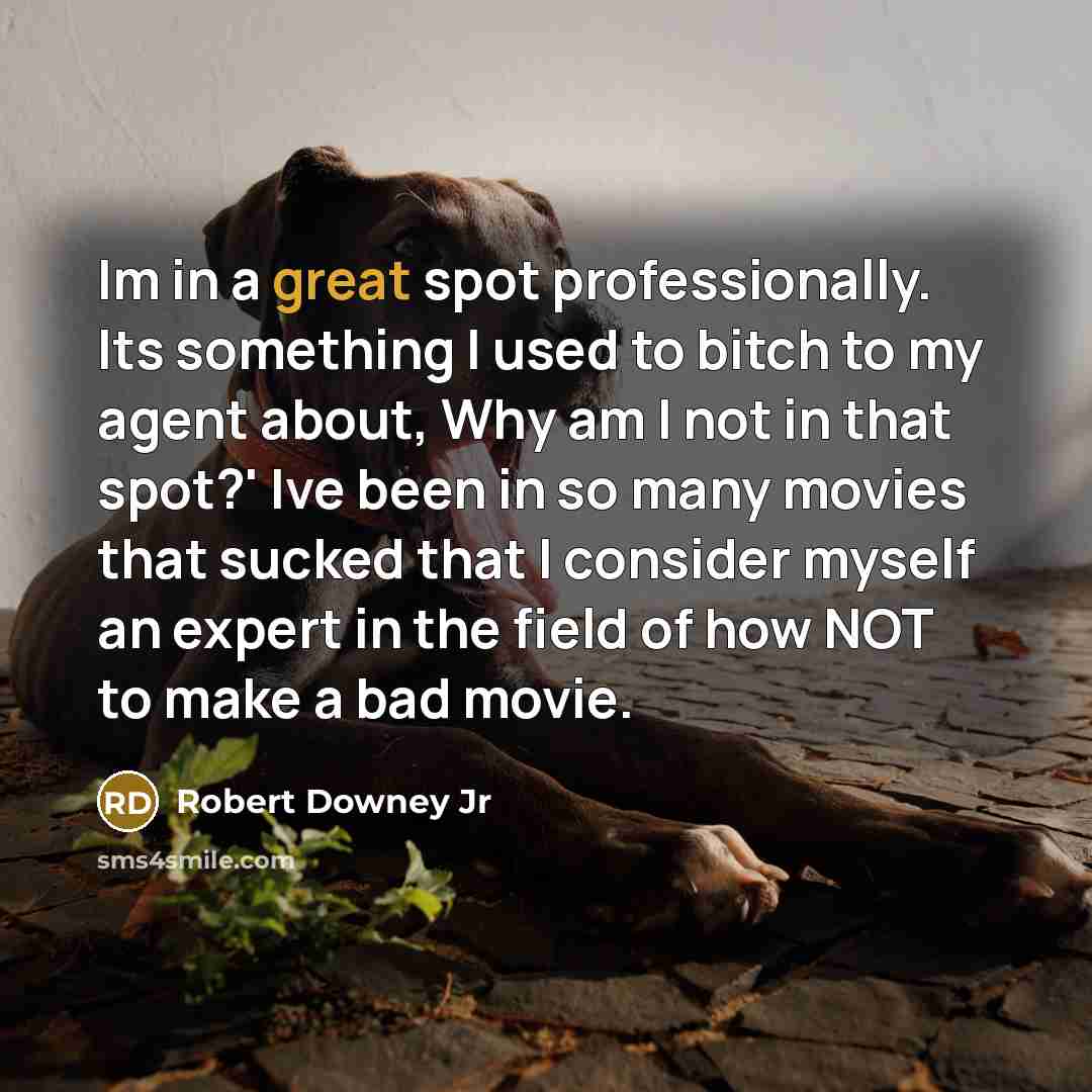 “Im in a great spot professionally. Its something I used to bitch to my agent about, Why am I not in that spot?' Ive been in so many movies that sucked that I consider myself an expert in the field of how NOT to make a bad movie.” quote by Robert Downey Jr