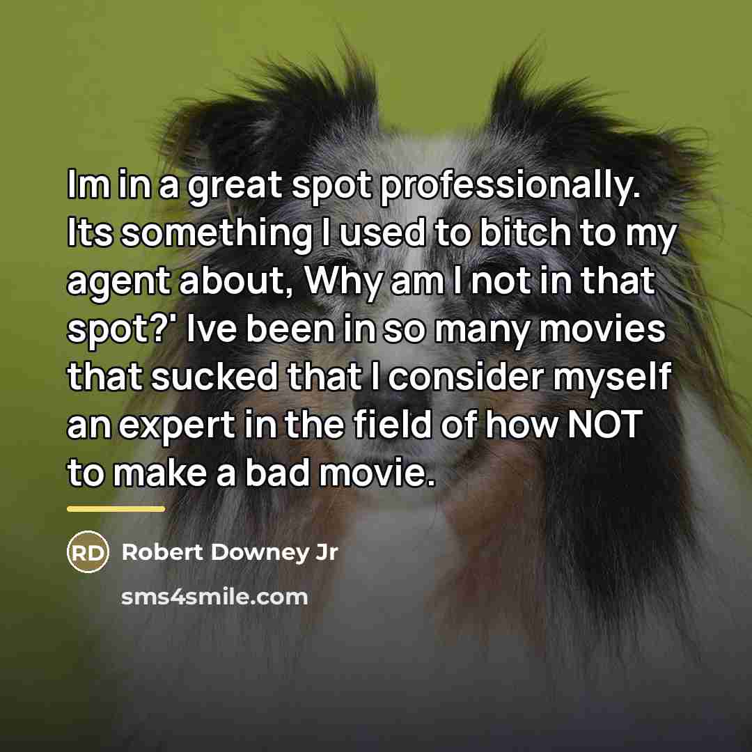 “Im in a great spot professionally. Its something I used…” quote by Robert Downey Jr