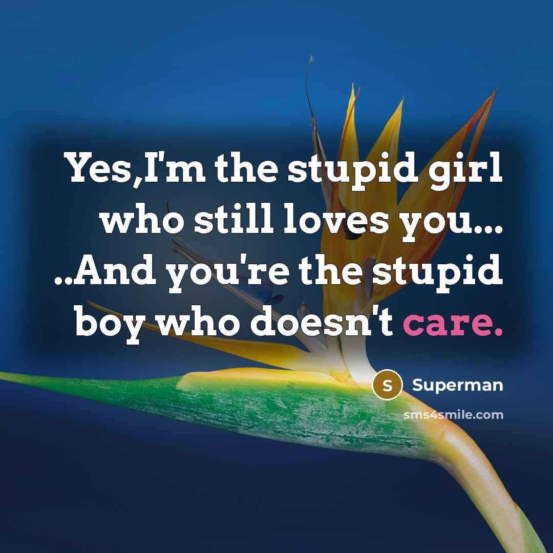 “Yes,I'm the stupid girl who still loves you... ..And you're…” quote by Superman