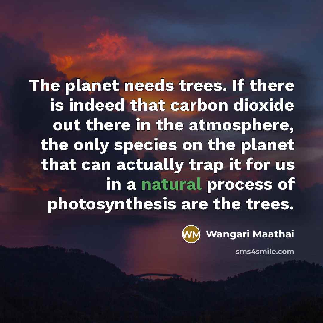 “The planet needs trees. If there is indeed that carbon…” quote by Wangari Maathai