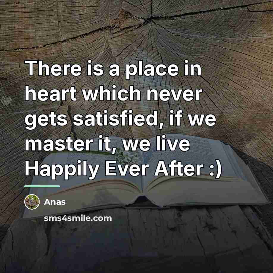 “There is a place in heart which never gets satisfied,…” quote by Anas