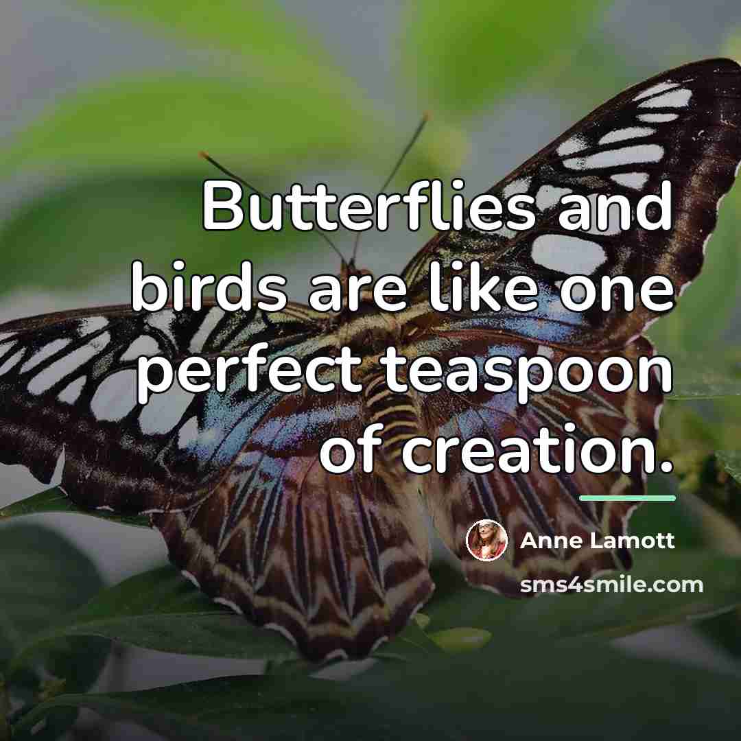 “Butterflies and birds are like one perfect teaspoon of creation.…” quote by Anne Lamott