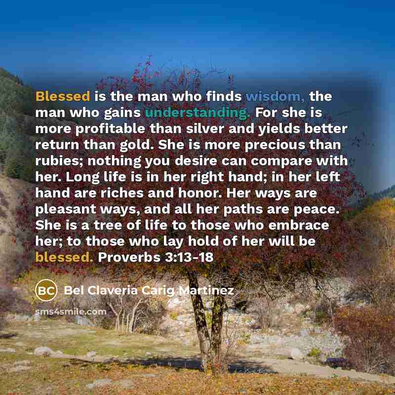 “Blessed is the man who finds wisdom, the man who gains understanding. For she is more profitable than silver and yields better return than gold. She is more precious than rubies; nothing you desire can compare with her. Long life is in her right hand; in her left hand are riches and honor. Her…” quote by Bel Claveria Carig Martinez