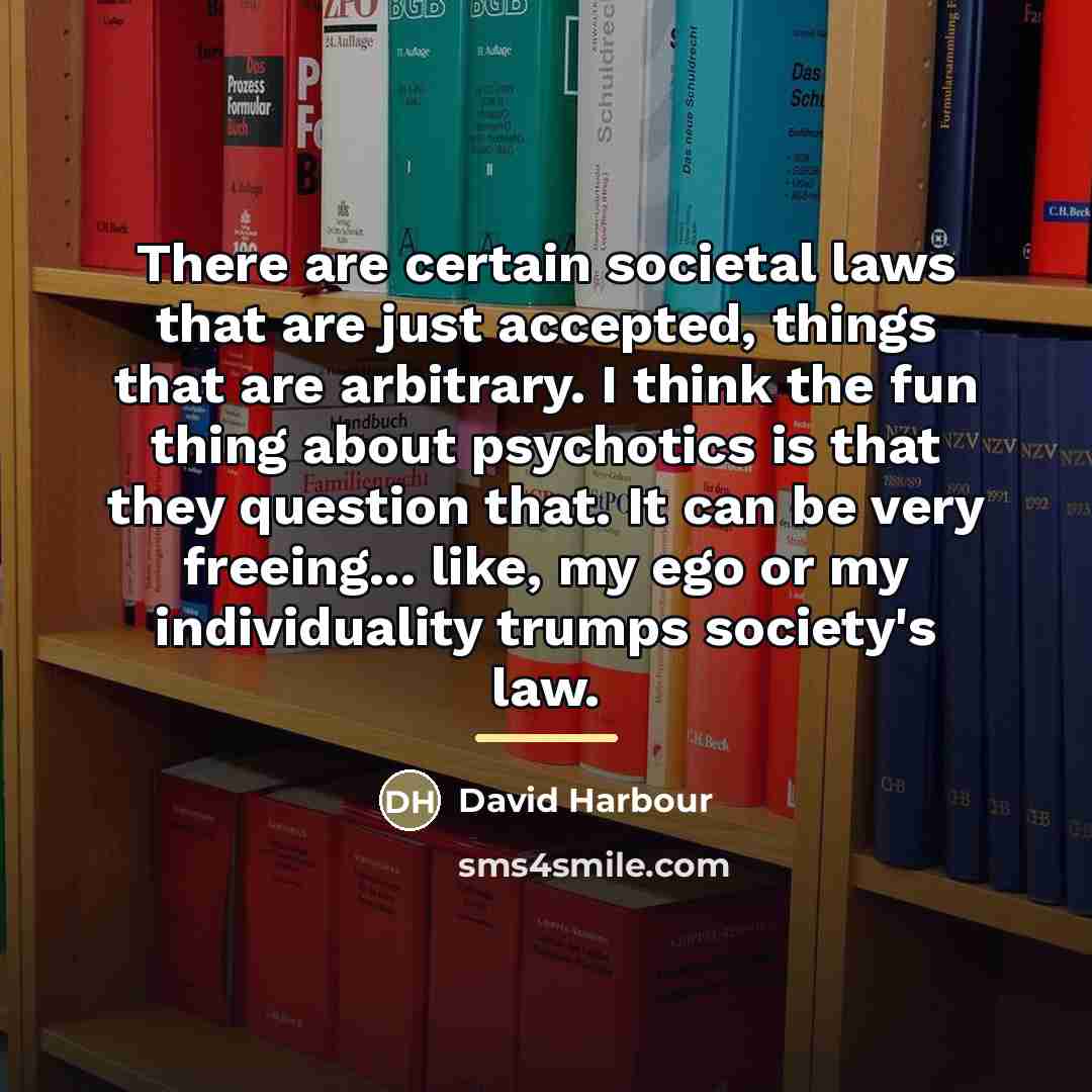 “There are certain societal laws that are just accepted, things…” quote by David Harbour