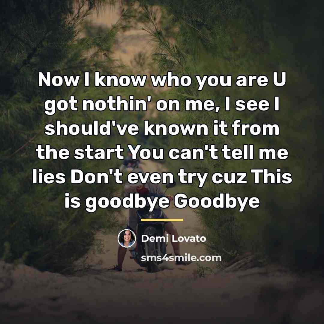 “Now I know who you are U got nothin' on…” quote by Demi Lovato