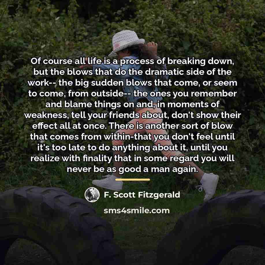 “Of course all life is a process of breaking down,…” quote by F. Scott Fitzgerald