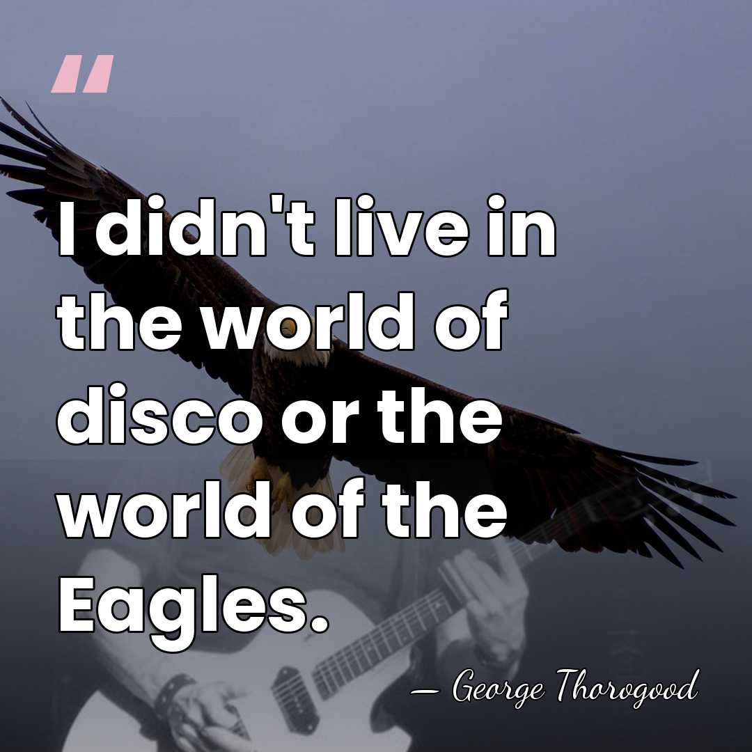 I didn't live in the world of disco or the world of&hellip; - George Thorogood