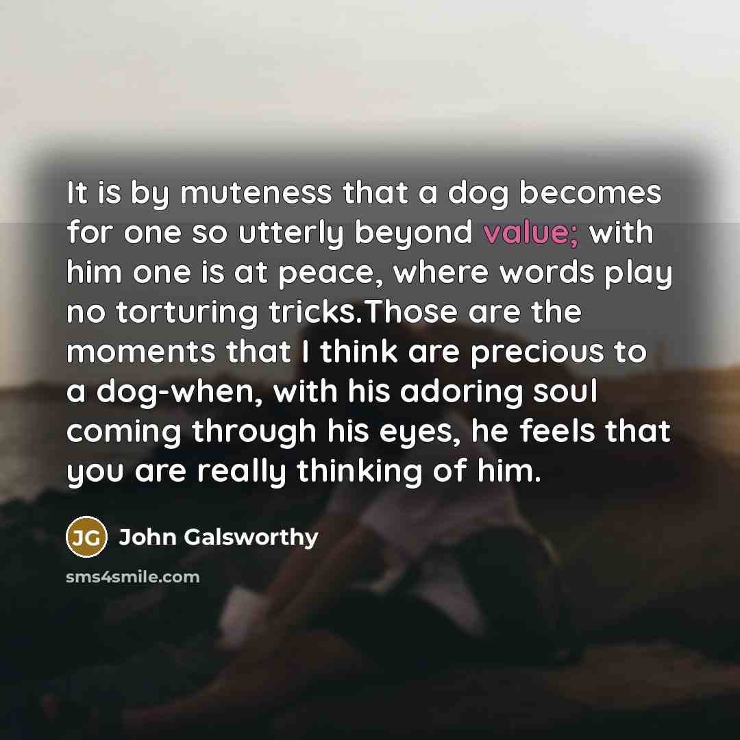 “It is by muteness that a dog becomes for one…” quote by John Galsworthy
