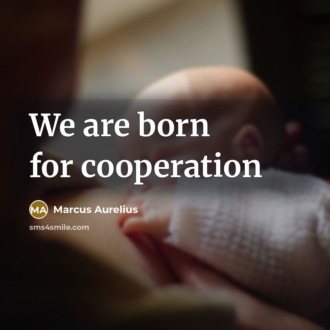 “We are born for cooperation…” quote by Marcus Aurelius