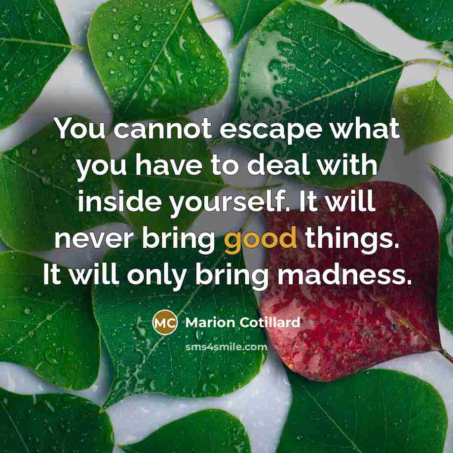 “You cannot escape what you have to deal with inside…” quote by Marion Cotillard