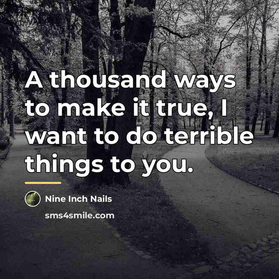 “A thousand ways to make it true, I want to…” quote by Nine Inch Nails