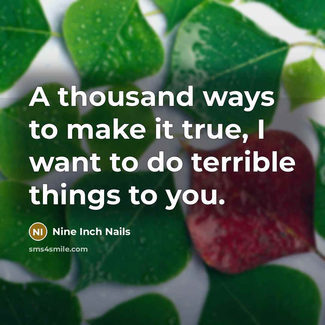 “A thousand ways to make it true, I want to do terrible things to you.” quote by Nine Inch Nails