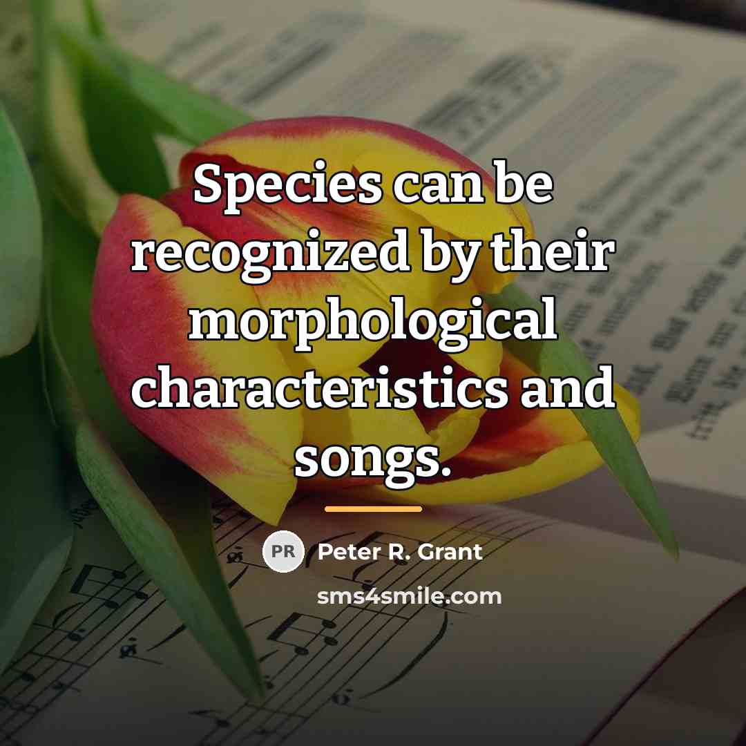 “Species can be recognized by their morphological characteristics and songs.…” quote by Peter R. Grant