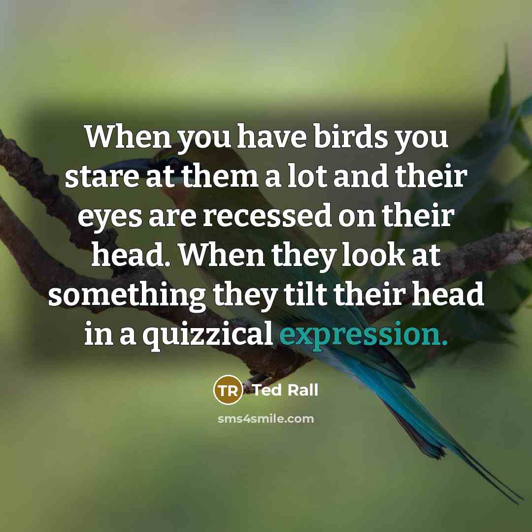 “When you have birds you stare at them a lot…” quote by Ted Rall