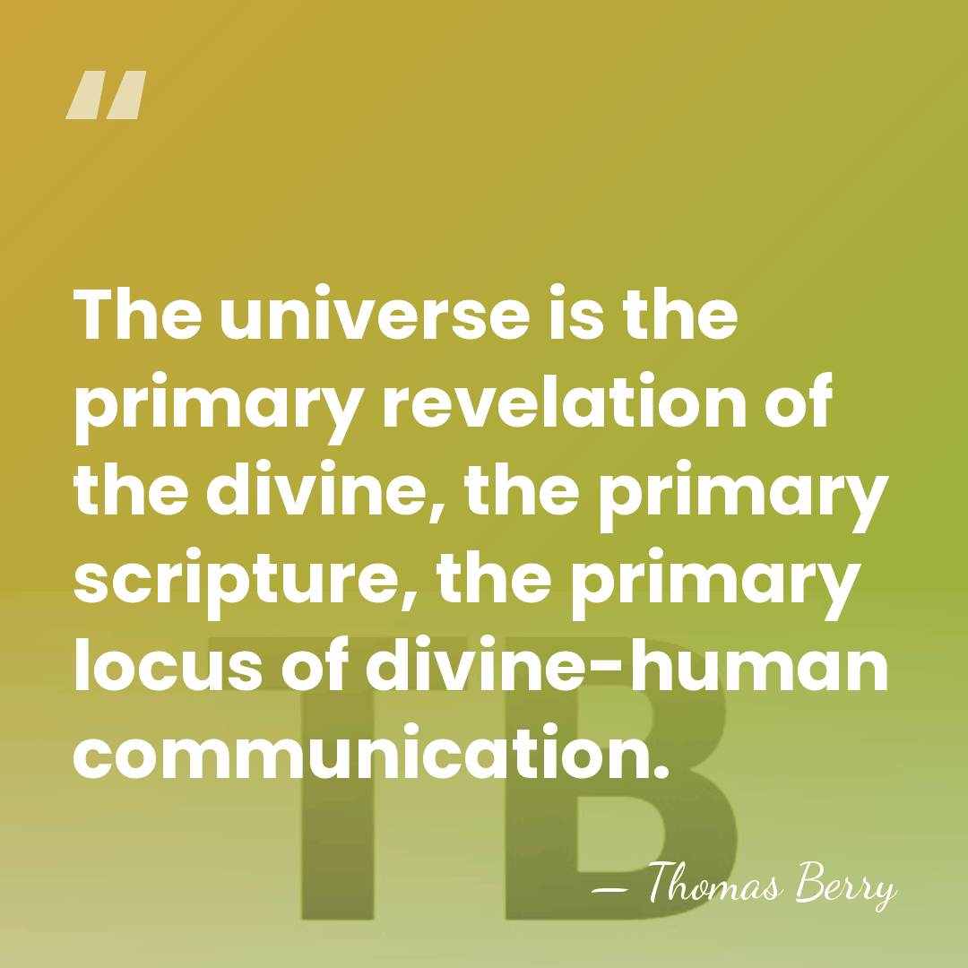 The universe is the primary revelation of the divine, the primary scripture,&hellip; - Thomas Berry