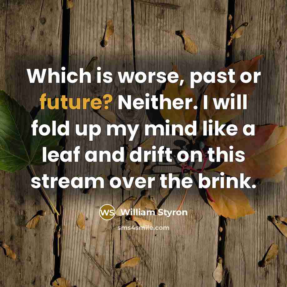 “Which is worse, past or future? Neither. I will fold…” quote by William Styron