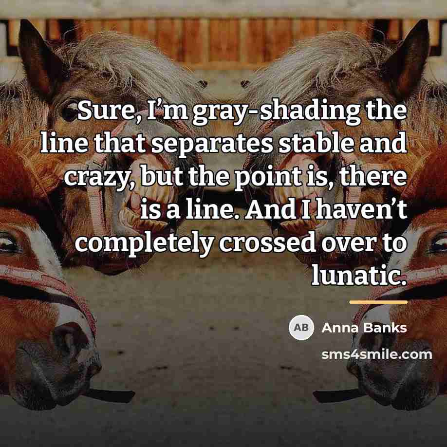 “Sure, I’m gray-shading the line that separates stable and crazy,…” quote by Anna Banks