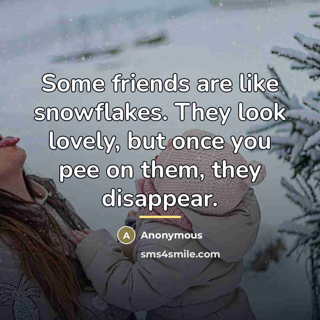 “Some friends are like snowflakes. They look lovely, but once…” quote by Anonymous